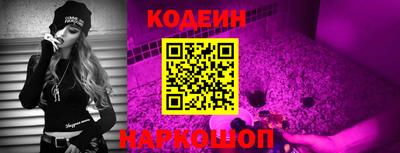 мдпв Кудымкар