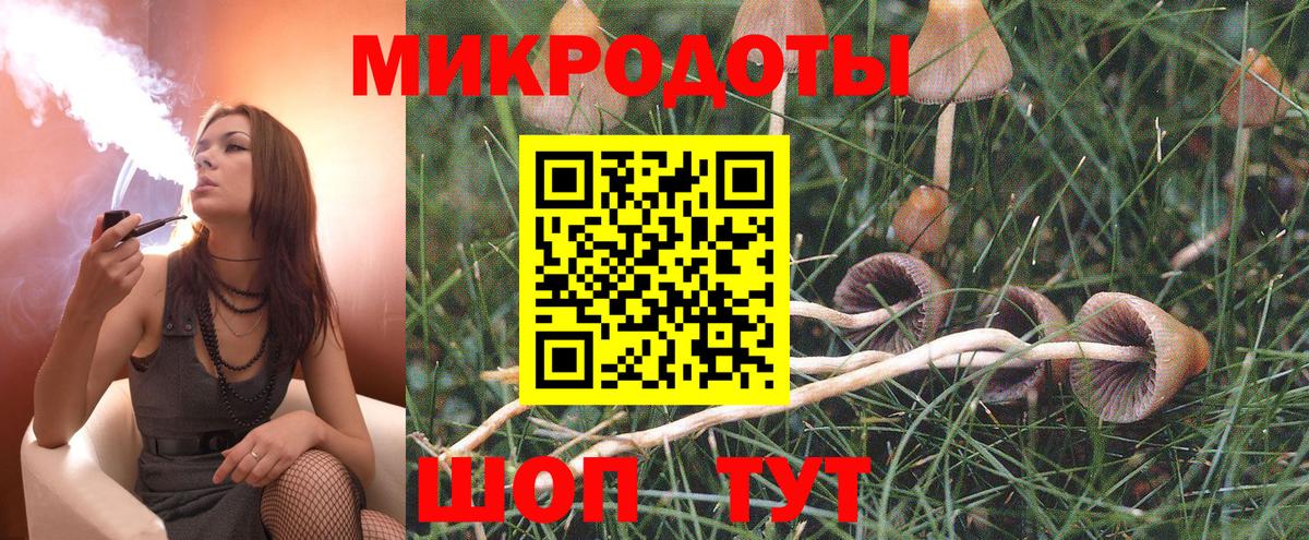Димитровград  Галлюциногенные грибы Cubensis  Вход с VPN 